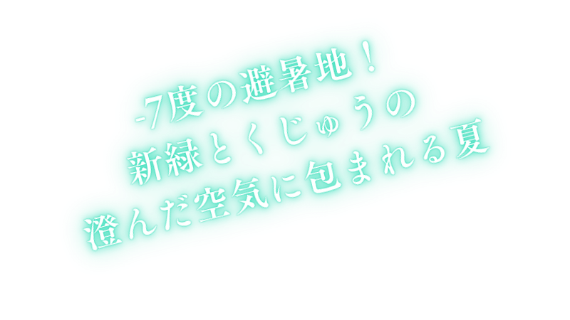 トップスライダー